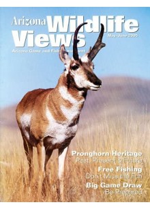 Arizona Wildlife Views