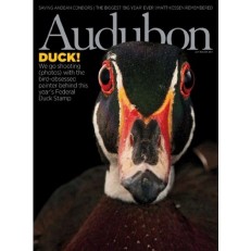 Audubon Audubon