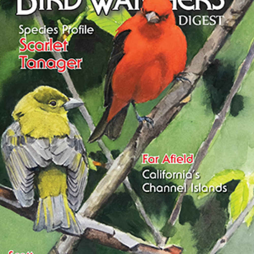 Bird Watchers Digest Magazine Subscriber Services