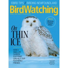 BirdWatching BirdWatching