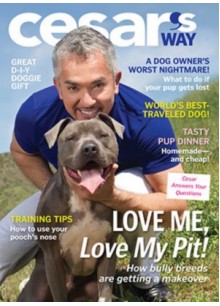 Cesar's Way Cesar's Way