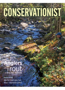 Conservationist Conservationist