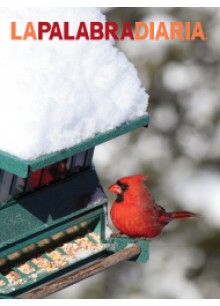 Daily Word Spanish (La Palabra Diaria)