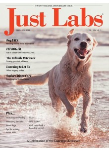 Just Labs