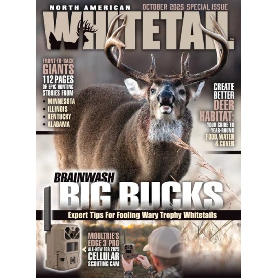 North American Whitetail