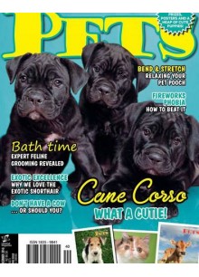 Pets Magazine Pets Magazine