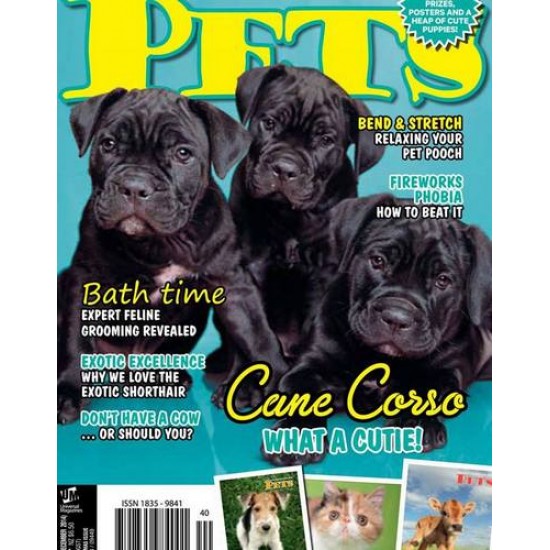 Pets Magazine 