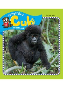 Ranger Rick Cub