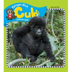 Ranger Rick Cub Ranger Rick Cub