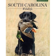 South Carolina Wildlife South Carolina Wildlife