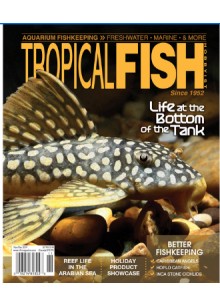 Tropical Fish Hobbyist