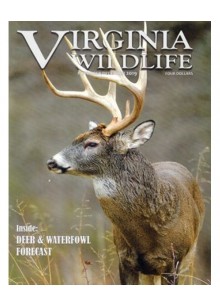 Virginia Wildlife