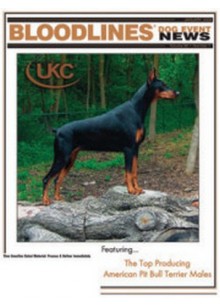 Bloodlines Dog News