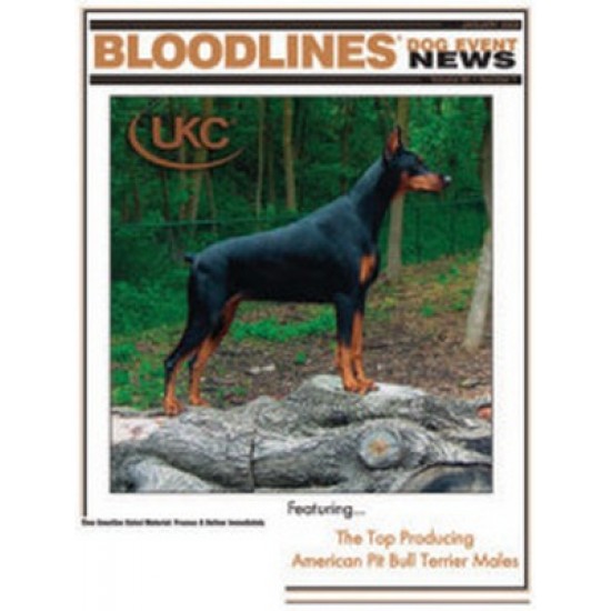 Bloodlines Dog News