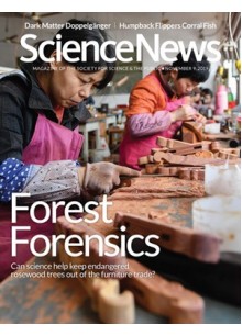 Science News Science News
