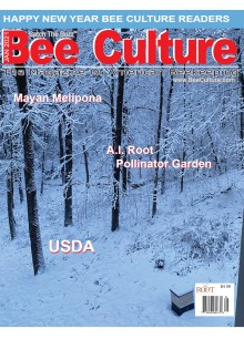 Bee Culture