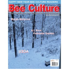 Bee Culture Bee Culture