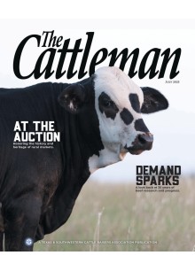 Cattleman Cattleman