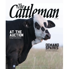Cattleman Cattleman