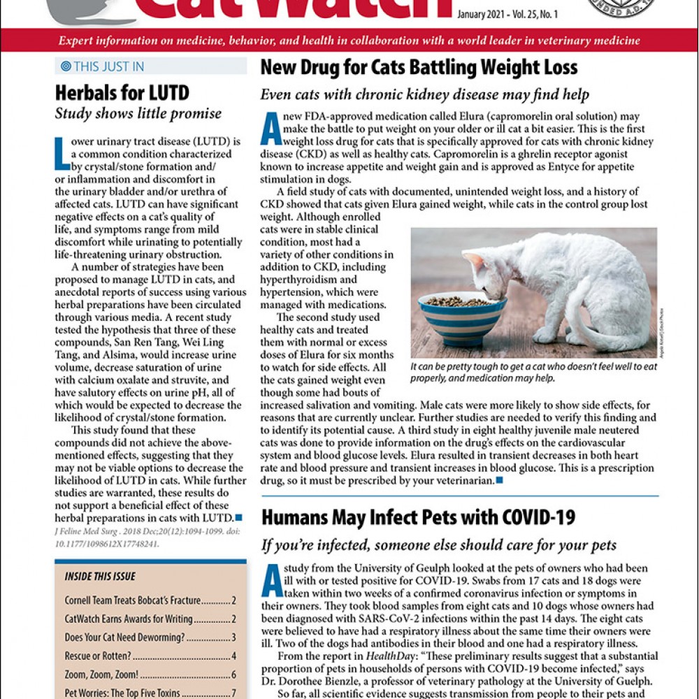 Catwatch Magazine Subscriber Services