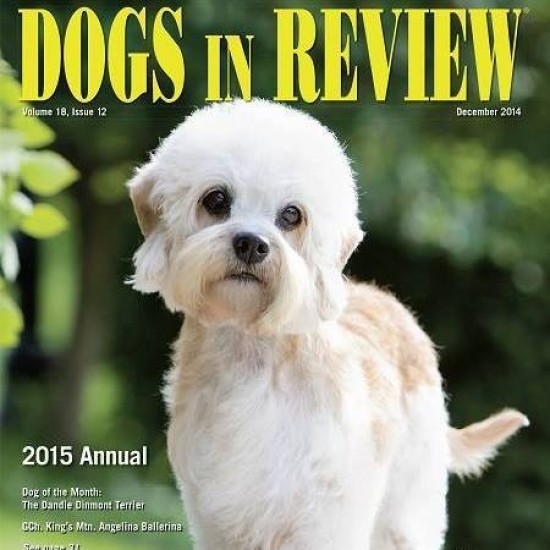 Dogs in Review 