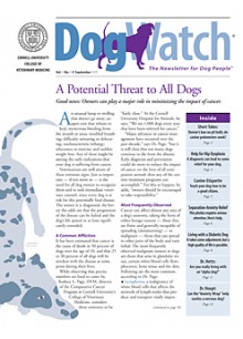 Dogwatch Dogwatch