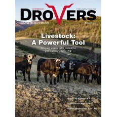 Drovers Cattle Network Drovers Cattle Network