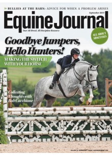 Equine Journal Equine Journal