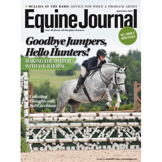 Equine Journal