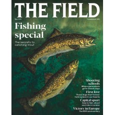 The Field (UK) The Field (UK)