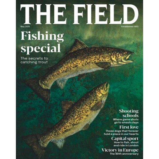 The Field (UK)