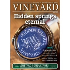Vineyard (UK) Vineyard (UK)