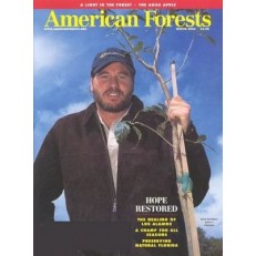 American Forests American Forests
