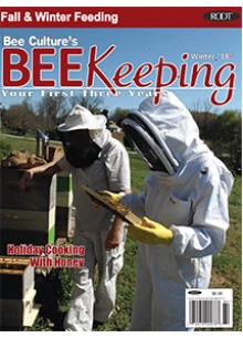 BEEKeeping Your First 3 Years