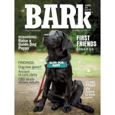 Bark Magazine 