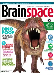 Brainspace Brainspace