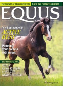 Equus