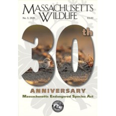 Massachusetts Wildlife Massachusetts Wildlife