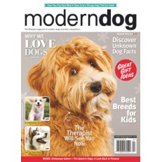 Modern Dog Modern Dog