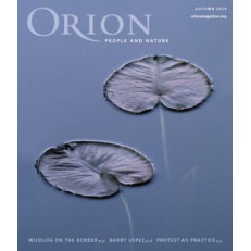 Orion Orion