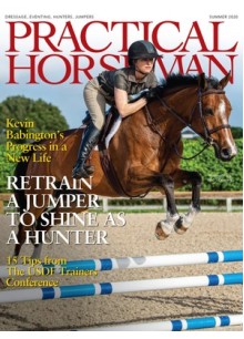 Practical Horseman