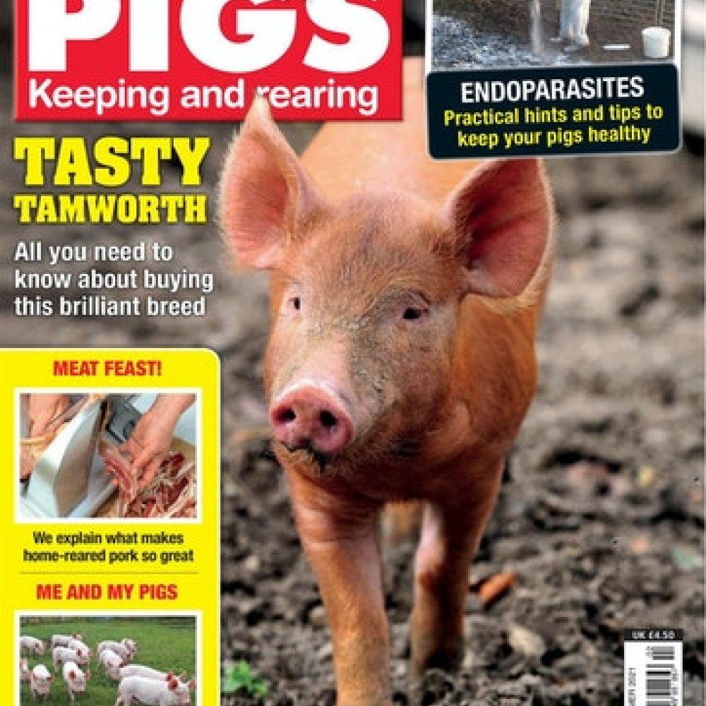 Practical Pigs (UK) Magazine Subscriber Services