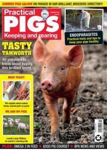 Practical Pigs (UK)