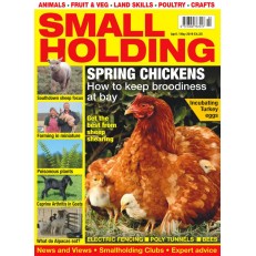 Smallholding (UK)