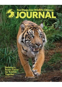 San Diego Zoo Wildlife Alliance Journal 