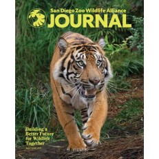San Diego Zoo Wildlife Alliance Journal San Diego Zoo Wildlife Alliance Journal