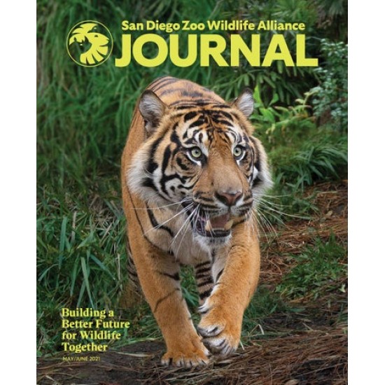 San Diego Zoo Wildlife Alliance Journal 
