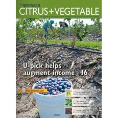 Citrus & Vegetable Citrus & Vegetable