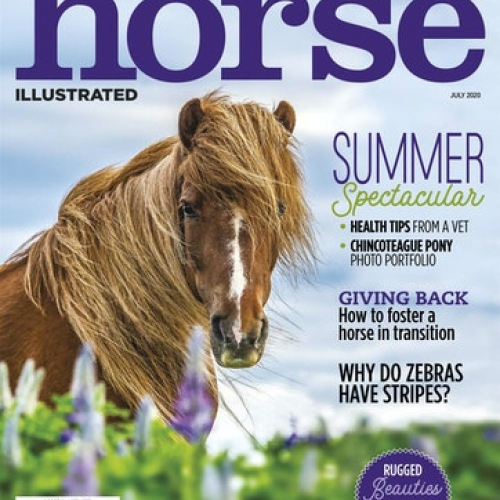 horse-illustrated-magazine-subscriber-services