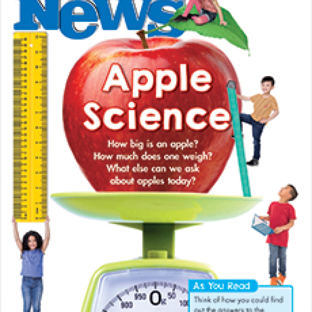 Scholastic News 1 Magazine Subscriber Services
